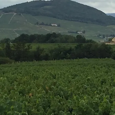 Villa Coeur De Morgon Villie-Morgon