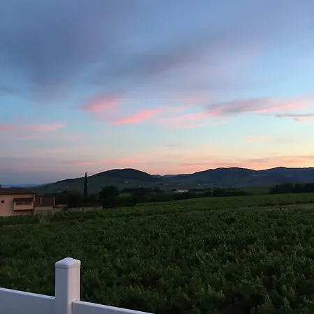 Coeur De Morgon